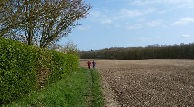 March 31st. Harlow to Bishops  Stortford