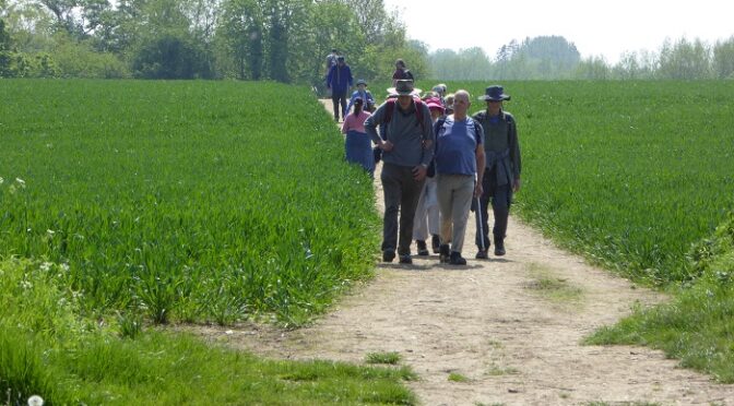 Otford to Shoreham and Eynsford with the London Blind Ramblers – 14th May