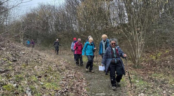 Berkhamsted Circular Walk on 21st February 2026