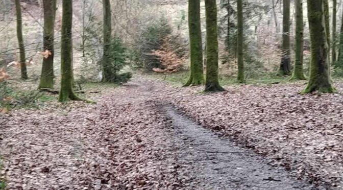 SUN 22nd MARCH WORLD WATER DAY WALK