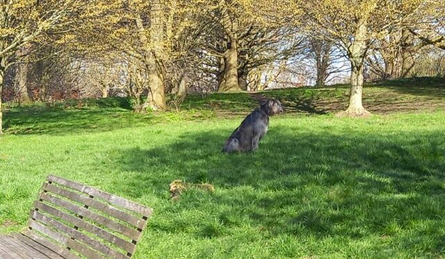 SUNDAY 22nd MARCH WORLD WATER DAY WALK